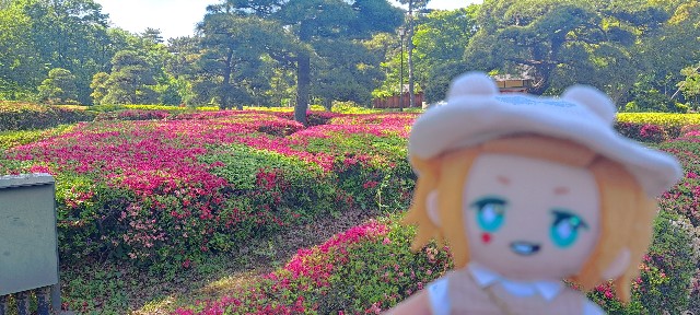 f:id:kareidosuko-pu:20240507191324j:image