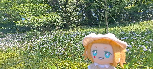 f:id:kareidosuko-pu:20240507191338j:image