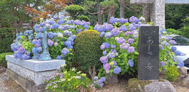 f:id:kareidosuko-pu:20240708131121j:image