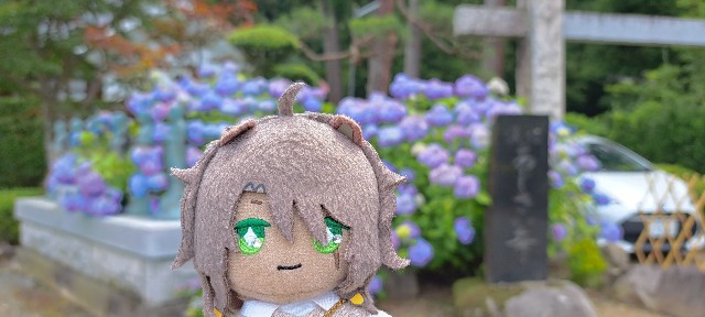 f:id:kareidosuko-pu:20240708131130j:image