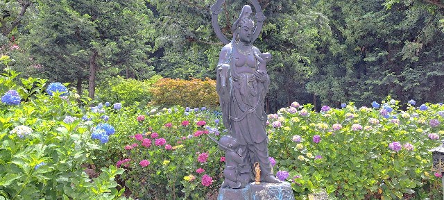 f:id:kareidosuko-pu:20240708131524j:image