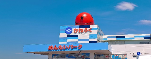 f:id:kareidosuko-pu:20240708132212j:image