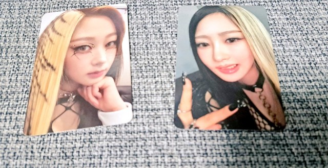 f:id:kareidosuko-pu:20240801164729j:image