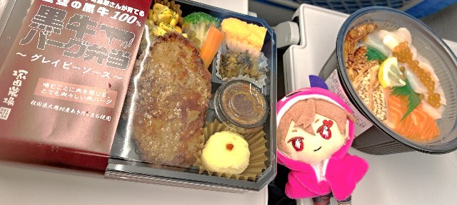 f:id:kareidosuko-pu:20241129213756j:image