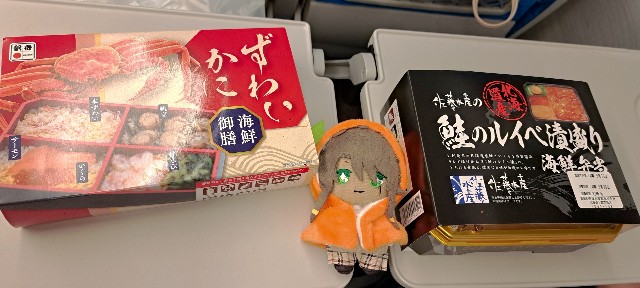 f:id:kareidosuko-pu:20241129213809j:image