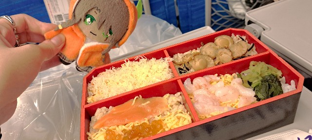 f:id:kareidosuko-pu:20241129213817j:image