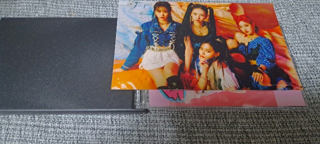 f:id:kareidosuko-pu:20241214191052j:image