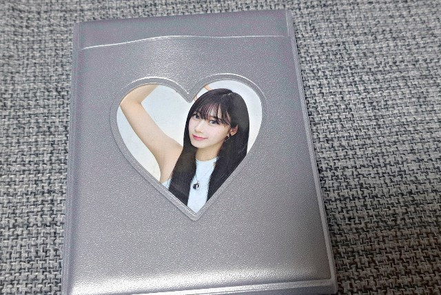 f:id:kareidosuko-pu:20241214191159j:image