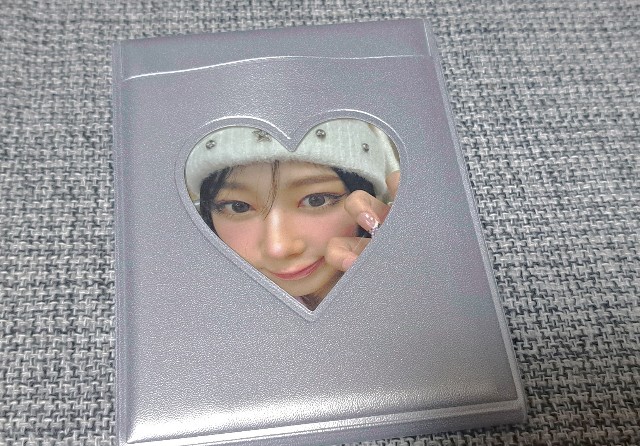 f:id:kareidosuko-pu:20241214191326j:image