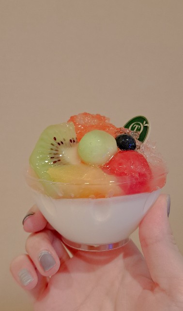 f:id:kareidosuko-pu:20250811232802j:image