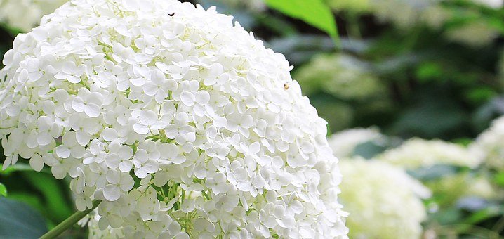 f:id:karen23:20200706102732j:plain f:id:karen23:20200706102732j:plain