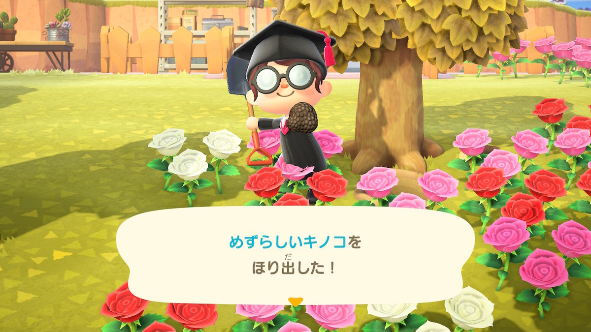 f:id:karen2525:20201130025108j:plain