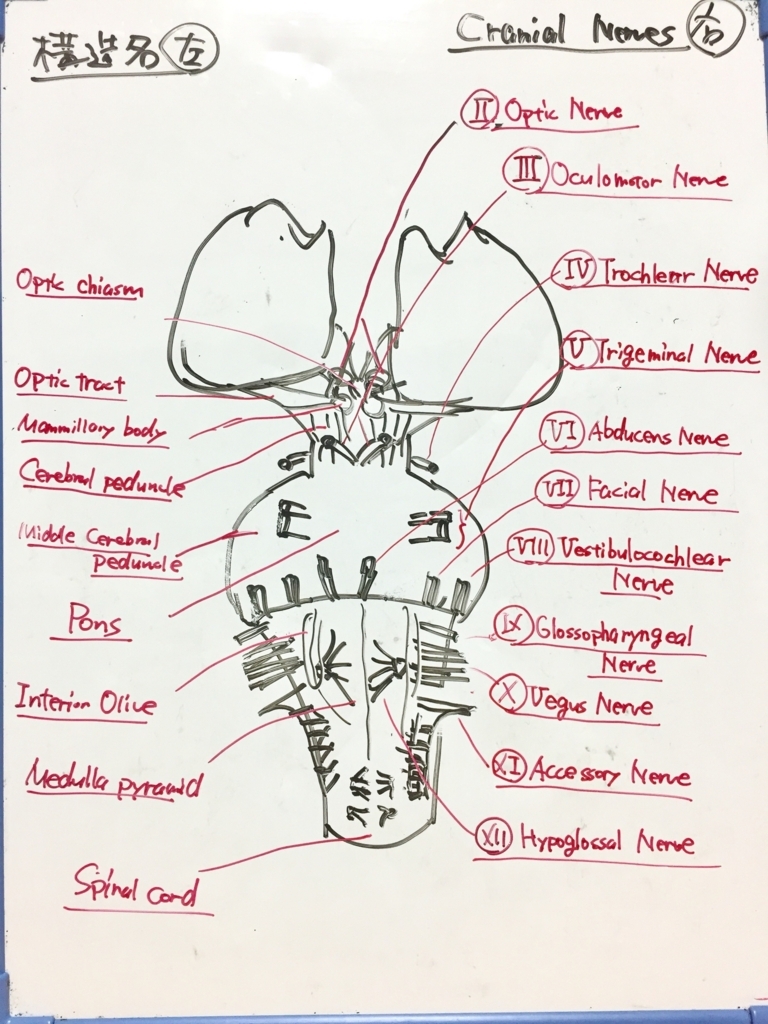 f:id:karia68:20180702210431j:plain