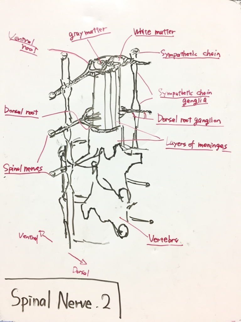 f:id:karia68:20180702224215j:plain