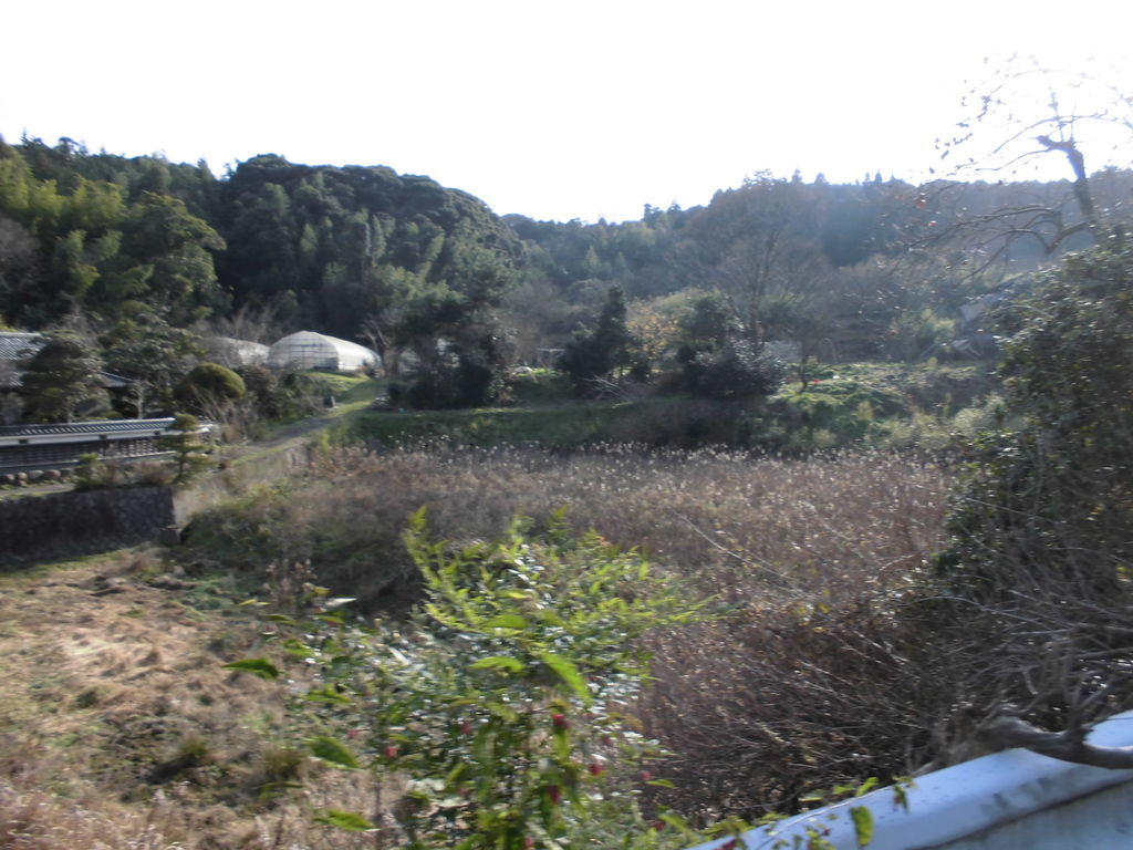 f:id:karibatakurou:20190127082634j:plain