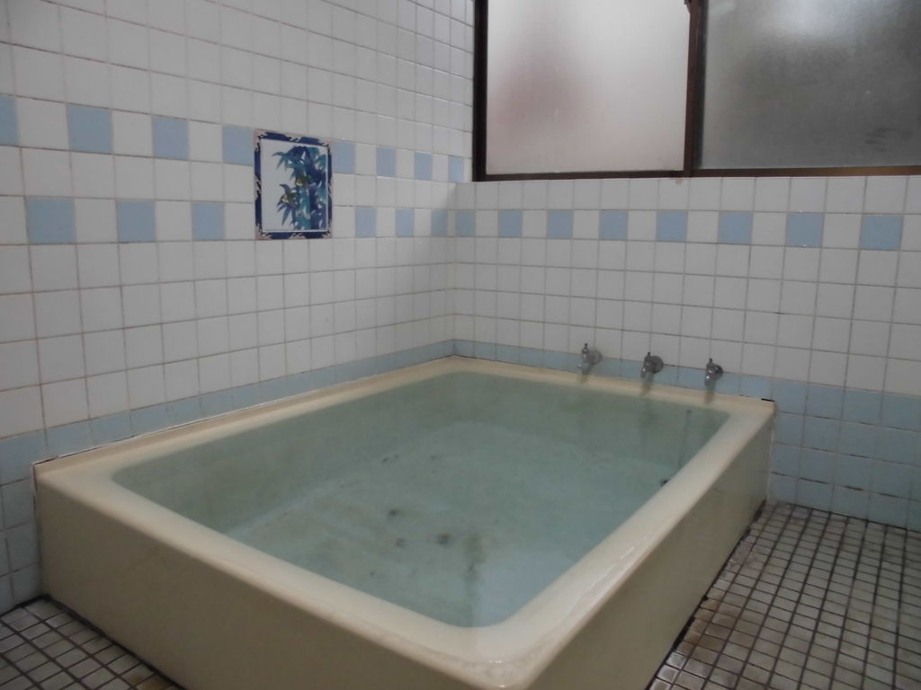 f:id:karibatakurou:20190214025847j:plain