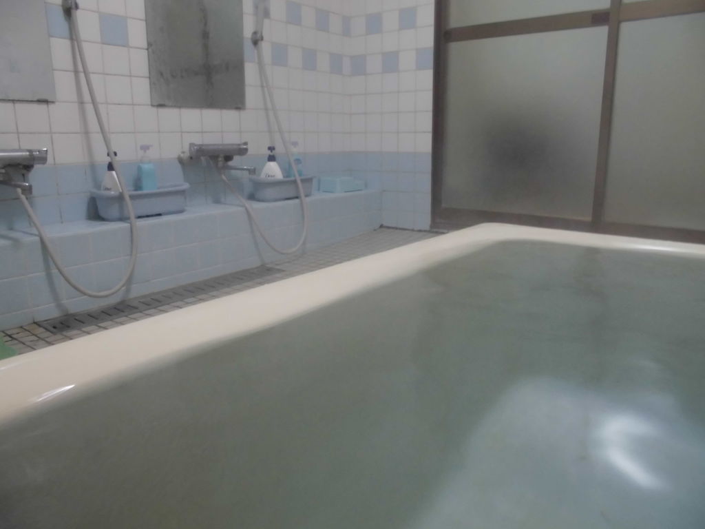 f:id:karibatakurou:20190214030204j:plain