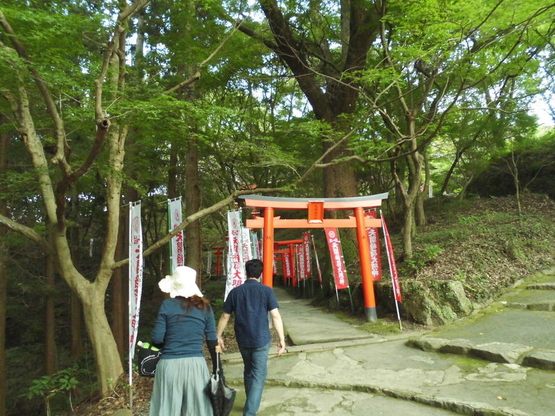 イメージ 3