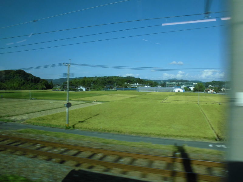 イメージ 16