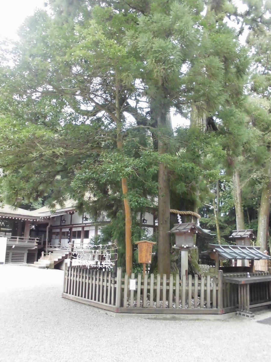 f:id:karibatakurou:20190814160142j:plain