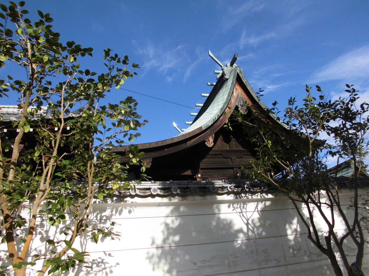 f:id:karibatakurou:20190904085609j:plain