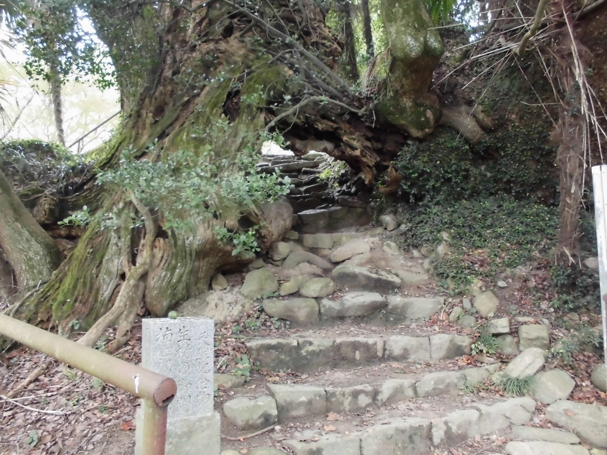 f:id:karibatakurou:20190913192853j:plain