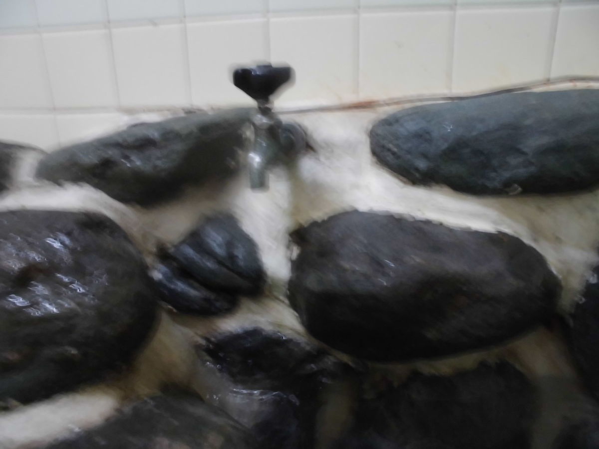 f:id:karibatakurou:20190917160738j:plain f:id:karibatakurou:20190917160738j:plain