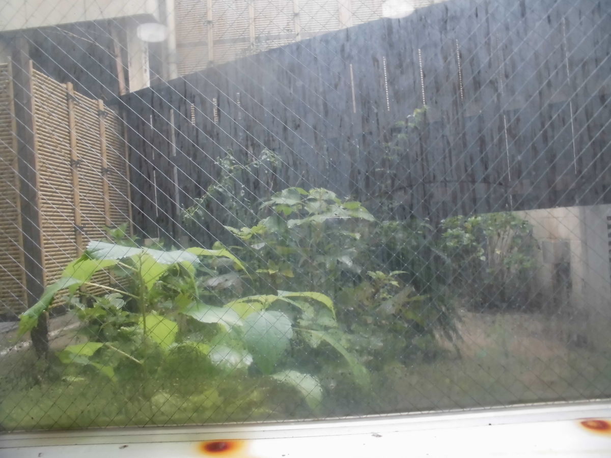 f:id:karibatakurou:20191012163646j:plain