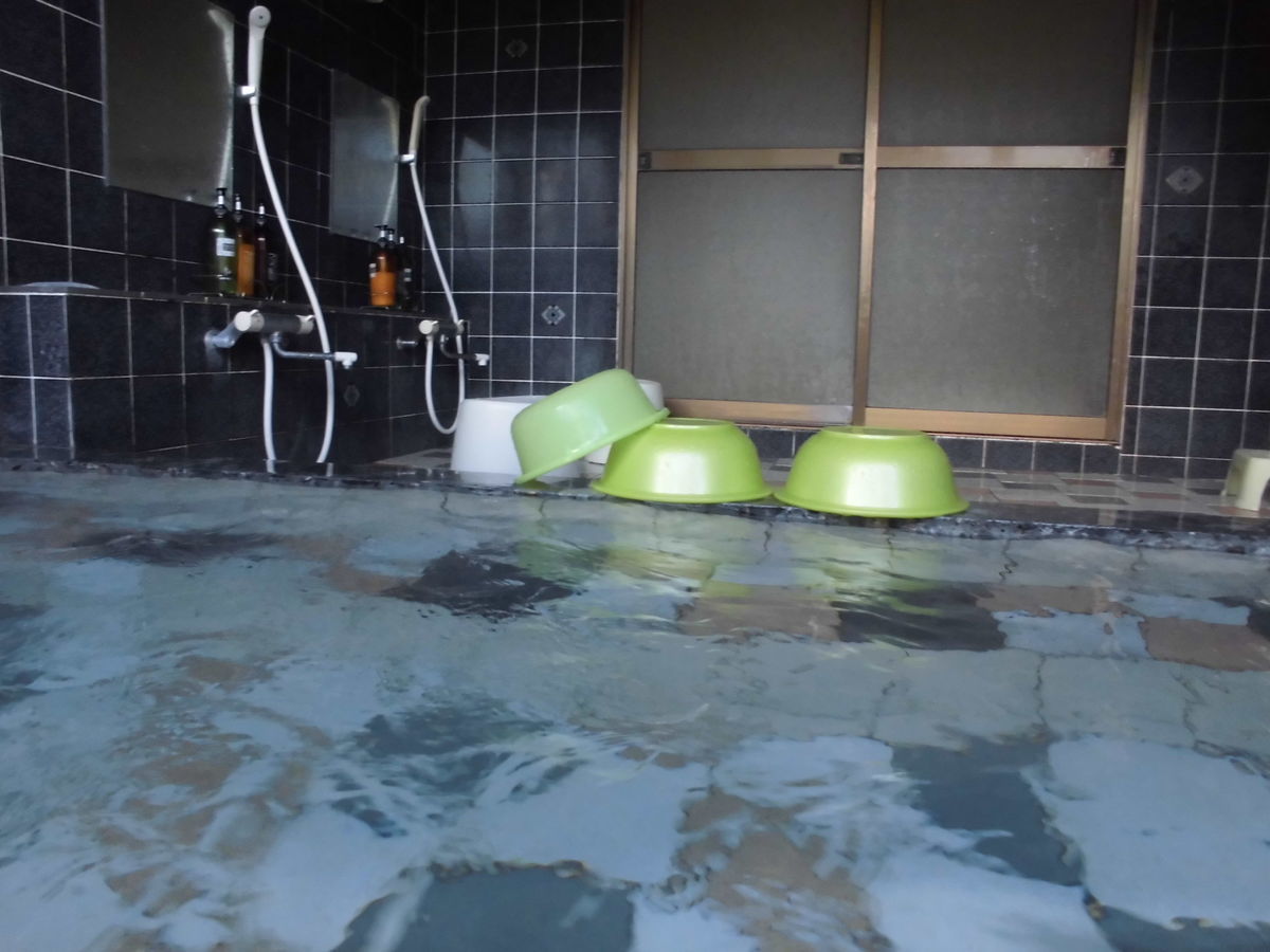 f:id:karibatakurou:20191115073005j:plain