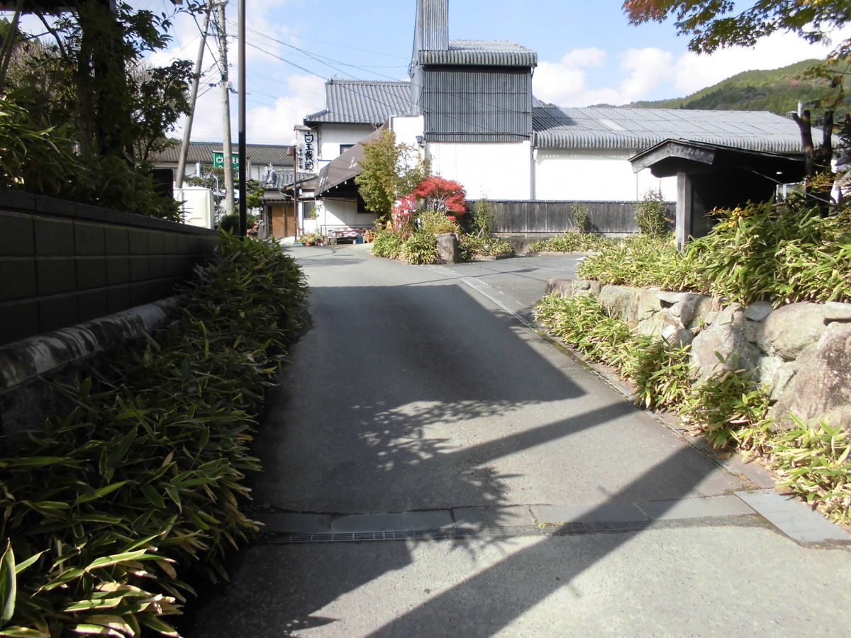 f:id:karibatakurou:20191115073847j:plain