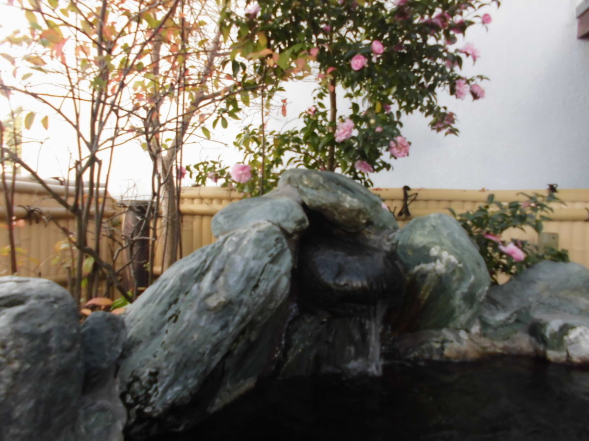 f:id:karibatakurou:20191122050117j:plain