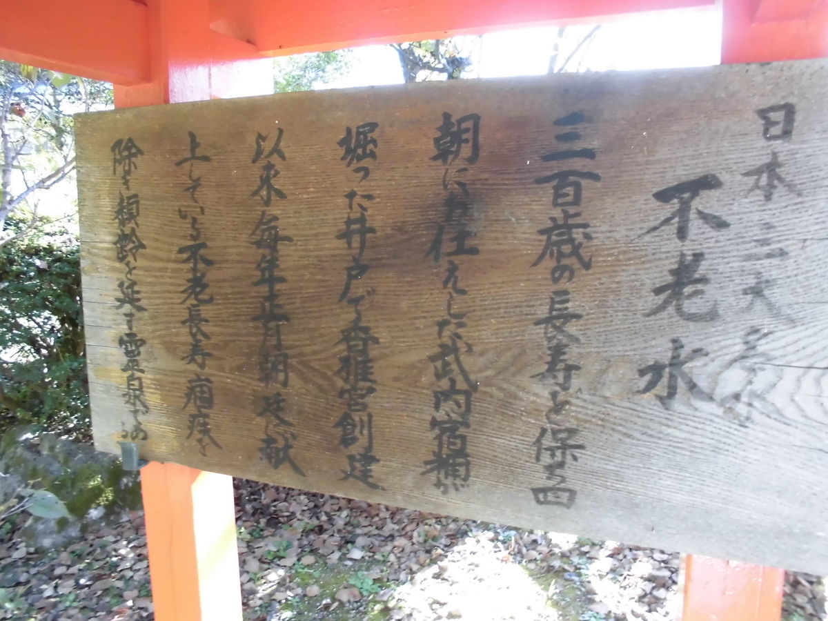 f:id:karibatakurou:20191202052334j:plain