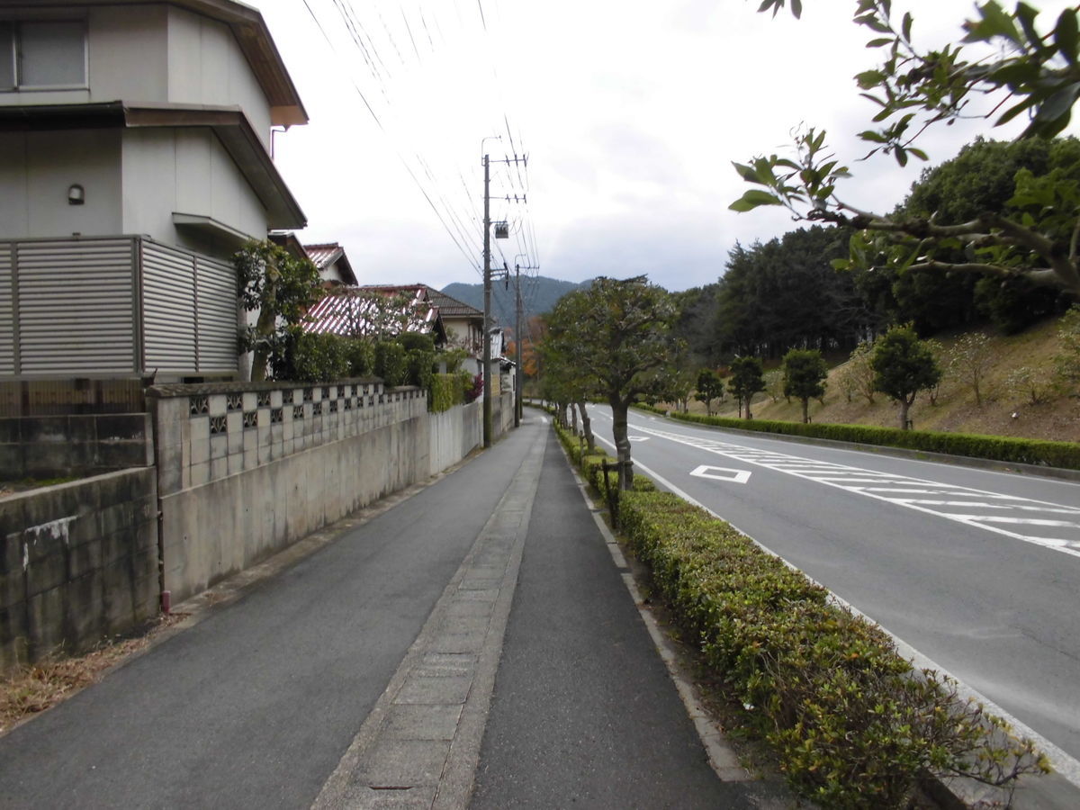 f:id:karibatakurou:20191225163651j:plain f:id:karibatakurou:20191225163651j:plain