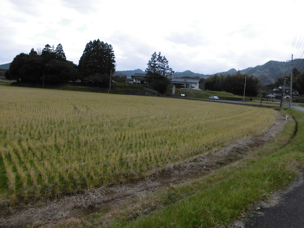 f:id:karibatakurou:20191225164802j:plain f:id:karibatakurou:20191225164802j:plain