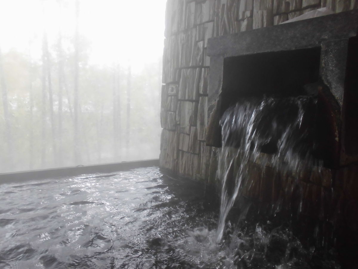 f:id:karibatakurou:20200102130951j:plain f:id:karibatakurou:20200102130951j:plain