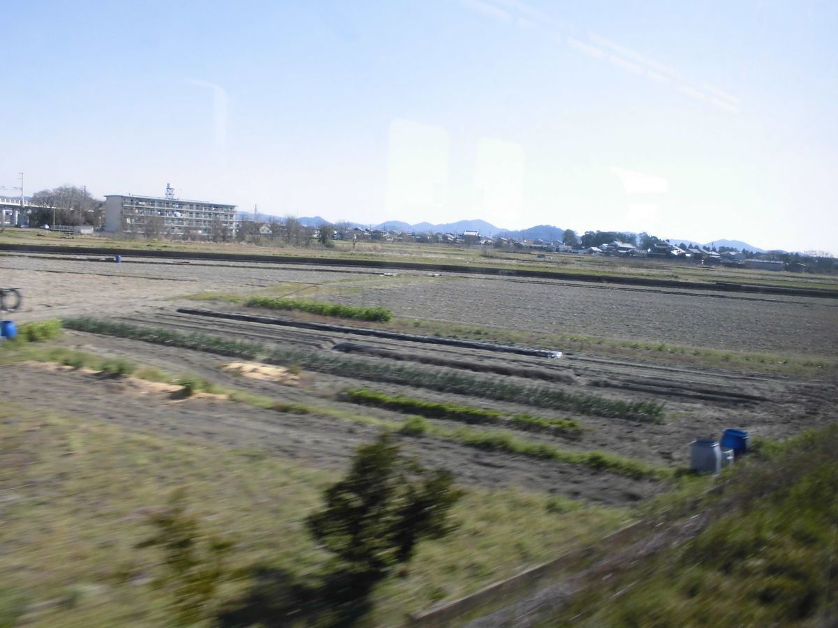 f:id:karibatakurou:20200330182600j:plain