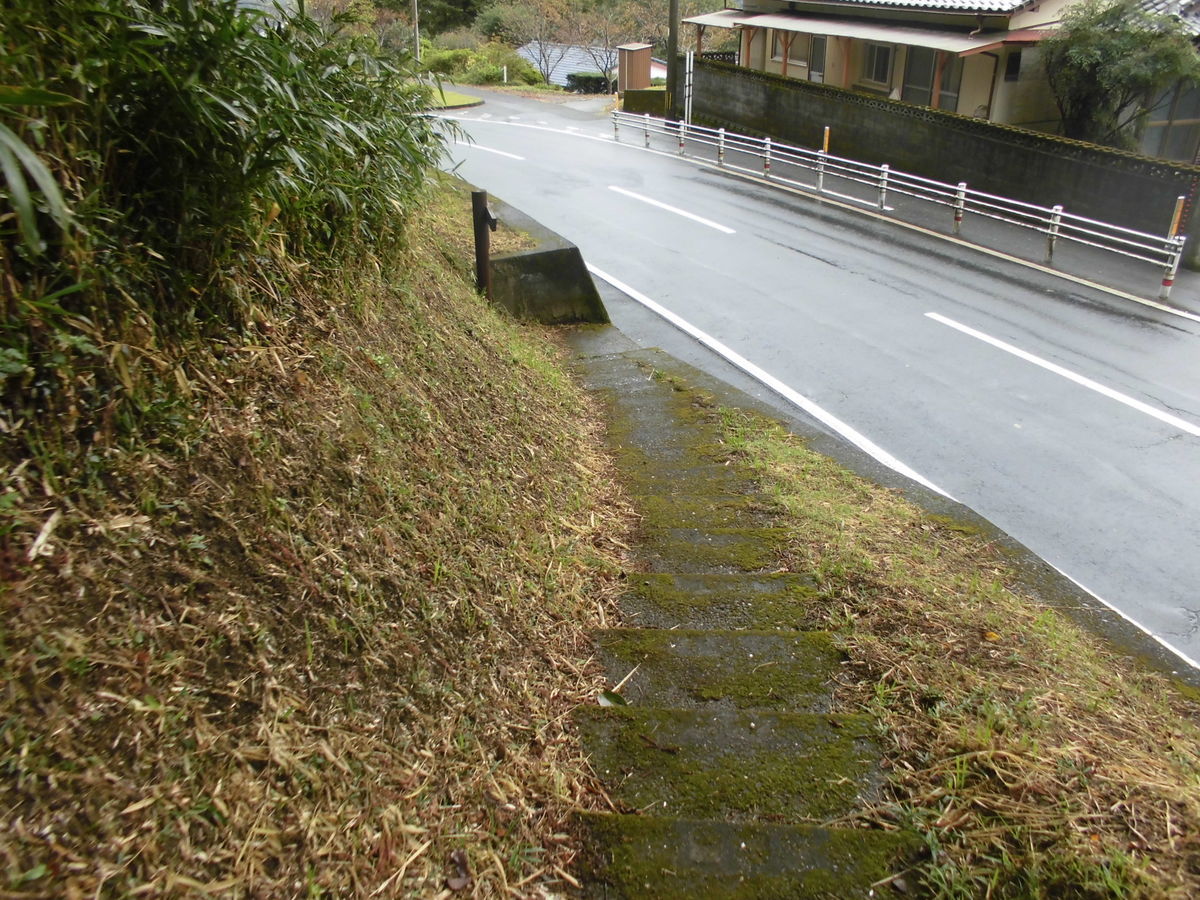 f:id:karibatakurou:20201126104125j:plain