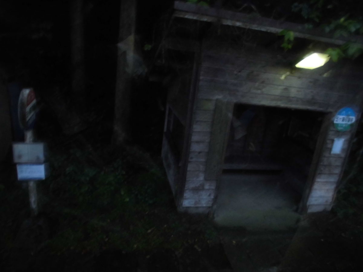 f:id:karibatakurou:20201201054548j:plain