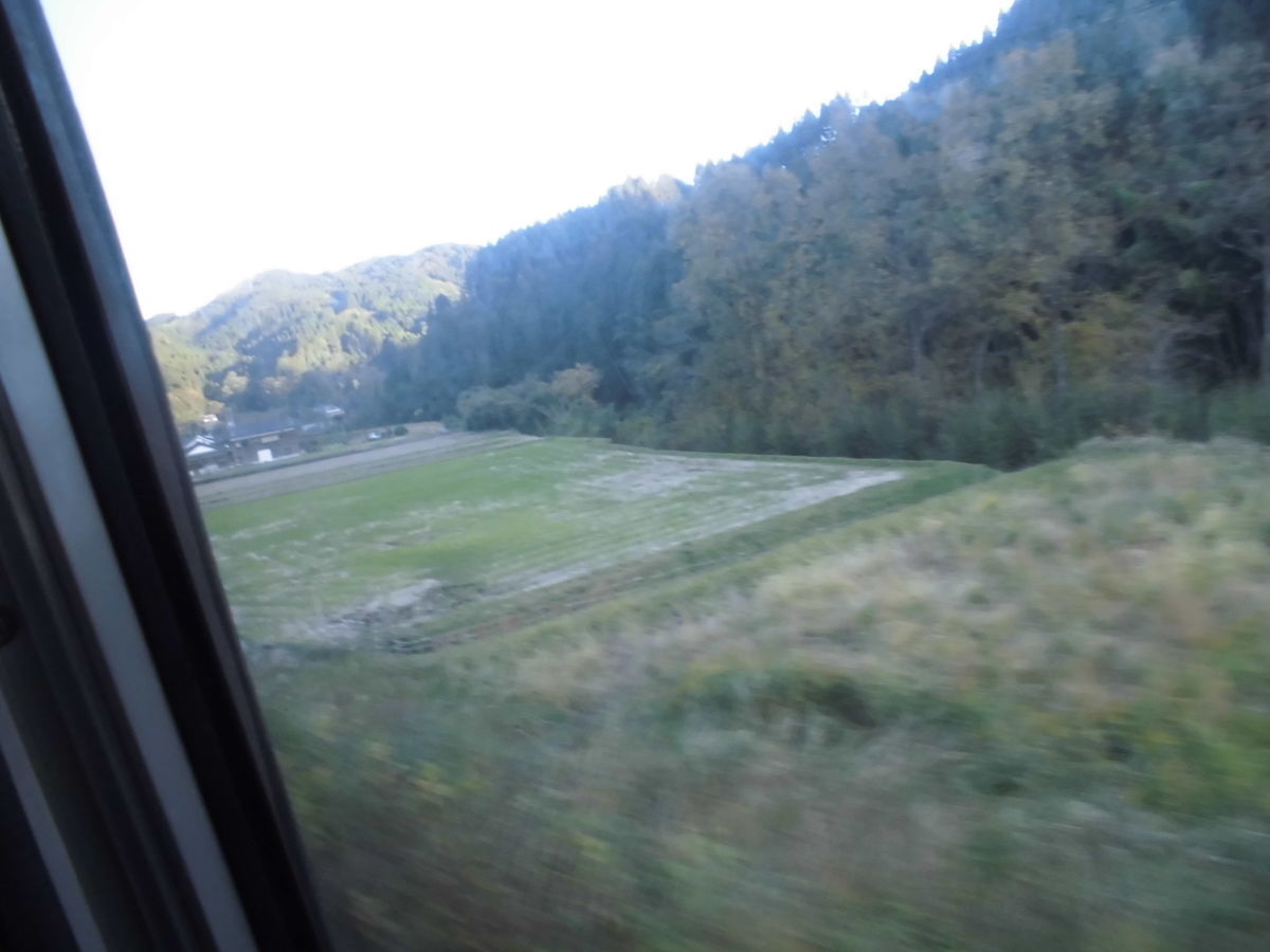 f:id:karibatakurou:20201213072440j:plain