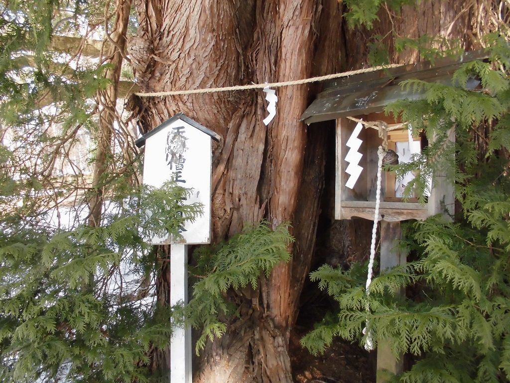 f:id:karibatakurou:20210326055547j:plain