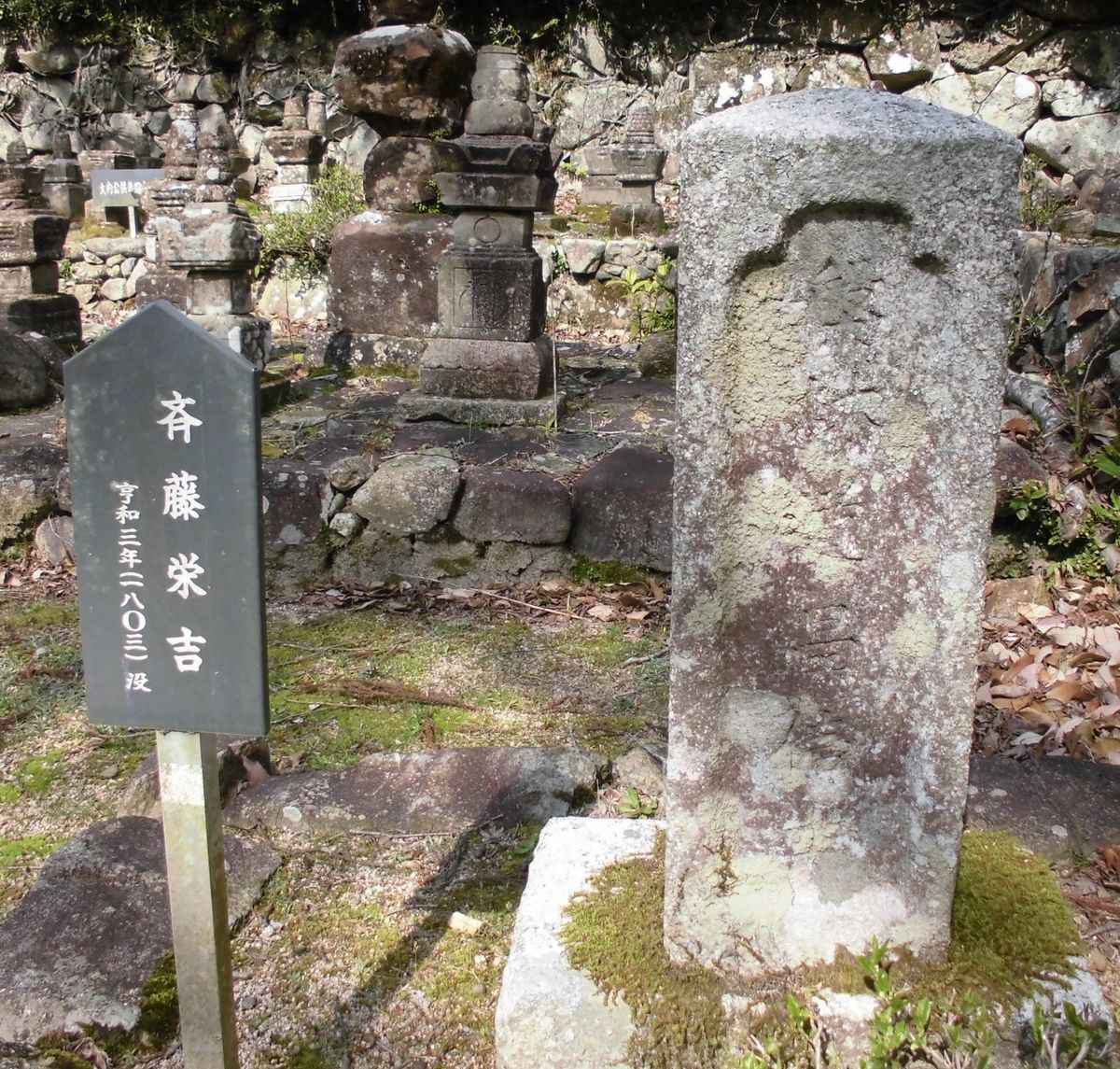 f:id:karibatakurou:20210419072346j:plain