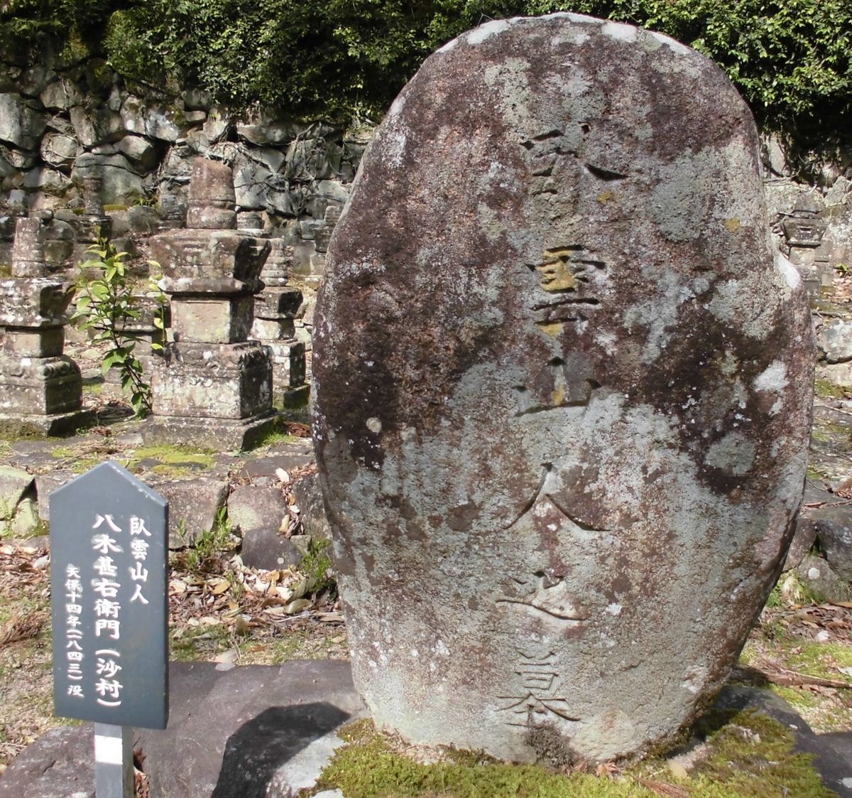 f:id:karibatakurou:20210419072556j:plain