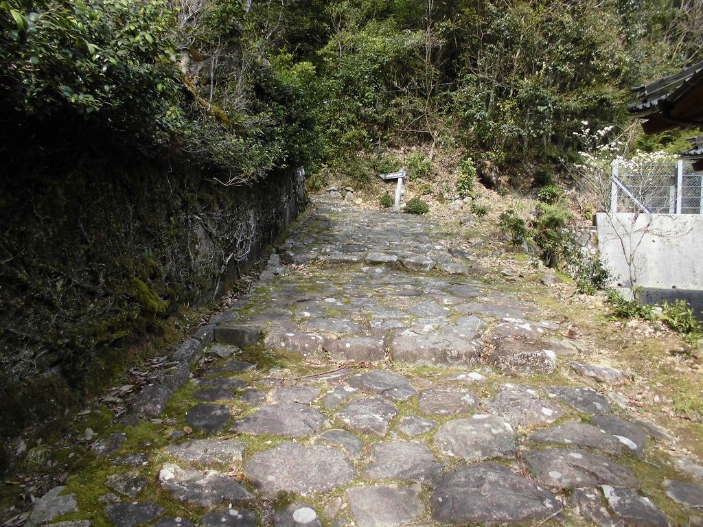 f:id:karibatakurou:20210419072725j:plain