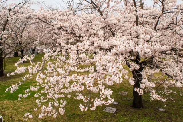 f:id:karibatakurou:20211024105420j:plain