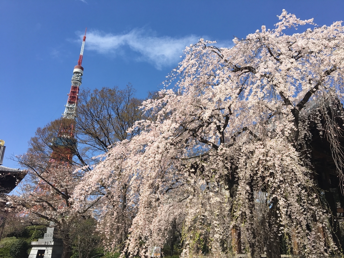 f:id:karii-m:20190417034213j:plain f:id:karii-m:20190417034213j:plain
