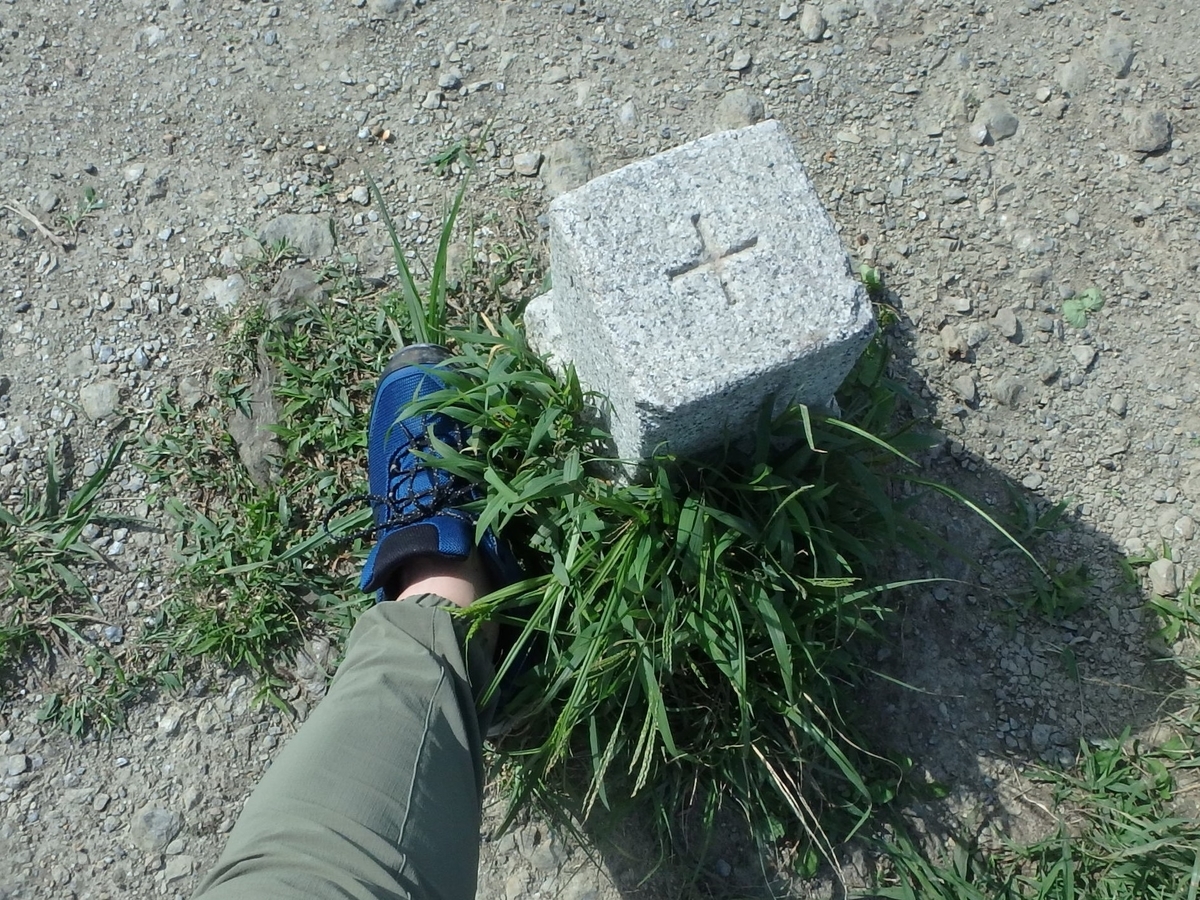f:id:karii-m:20190510010746j:plain f:id:karii-m:20190510010746j:plain