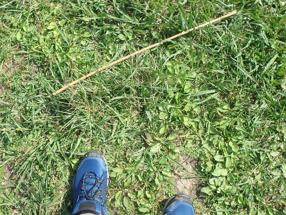 f:id:karii-m:20190510011228j:plain f:id:karii-m:20190510011228j:plain