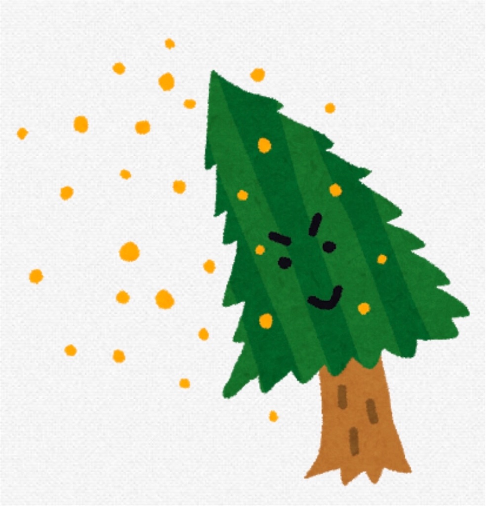 f:id:kariiinto1:20210220124835j:image f:id:kariiinto1:20210220124835j:image