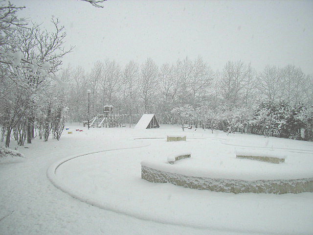 f:id:karikari0405:20200224015630j:plain