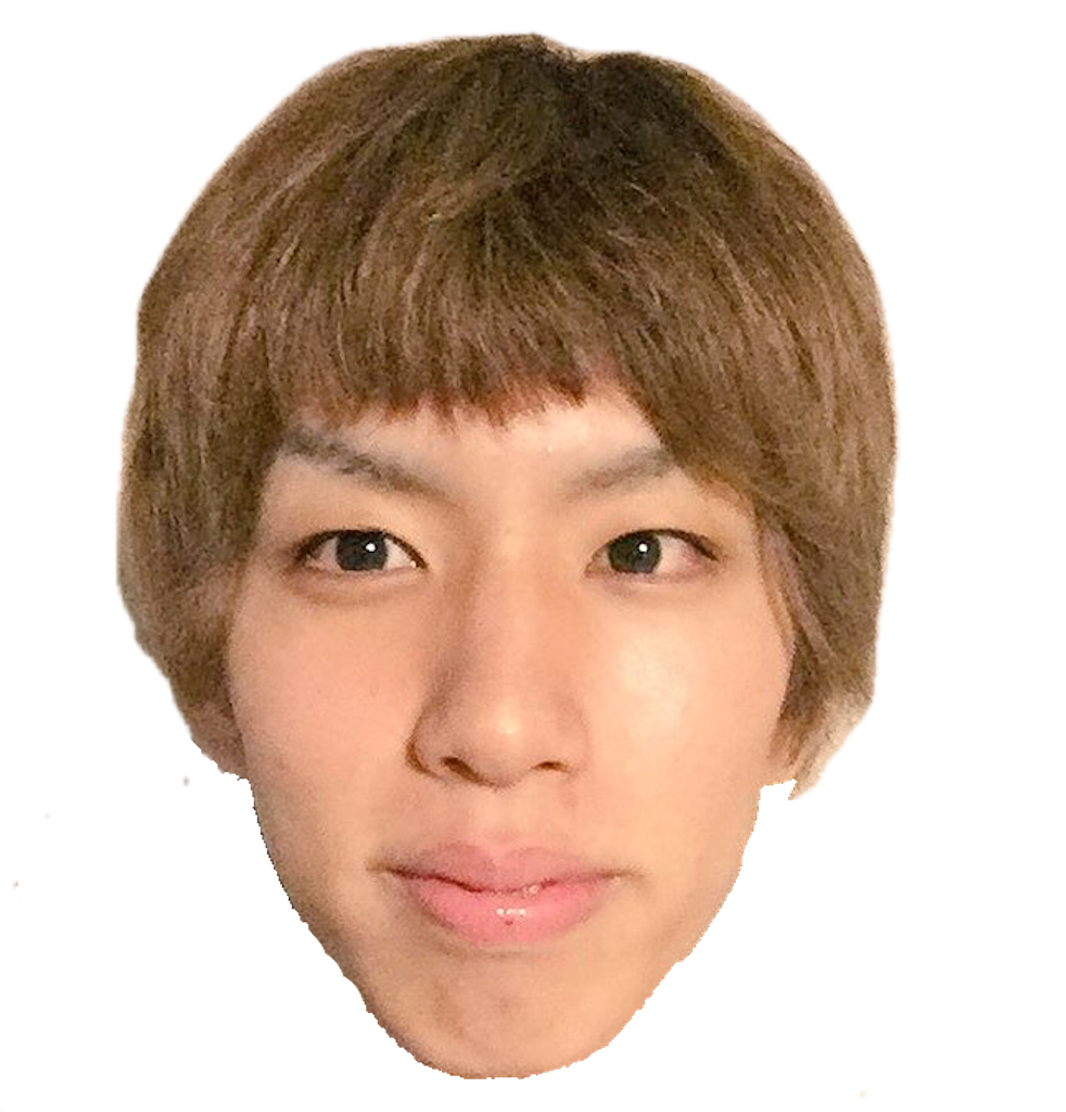 f:id:karikari0405:20200403201628p:image